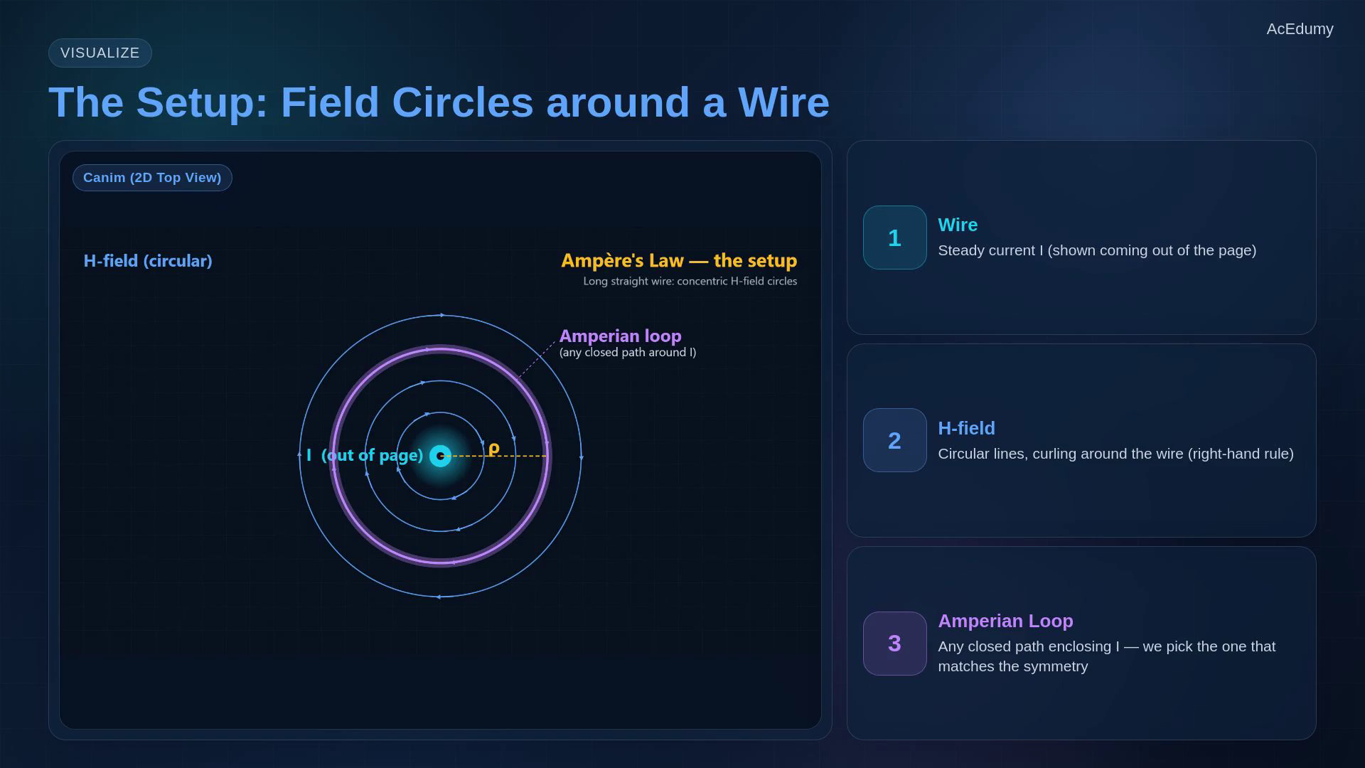 Lesson frame showing an Amperian loop, the integral law, the infinite straight-wire derivation, and the differential form.