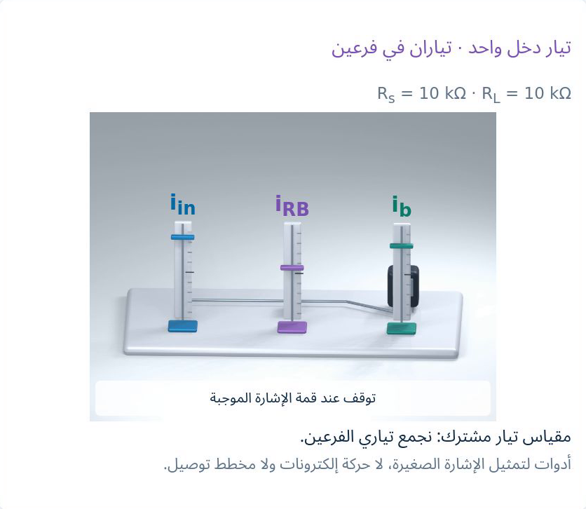 نموذج الدخل ذي المسارين أو أدوات التيار الرمزية الأصلية باللغة نفسها