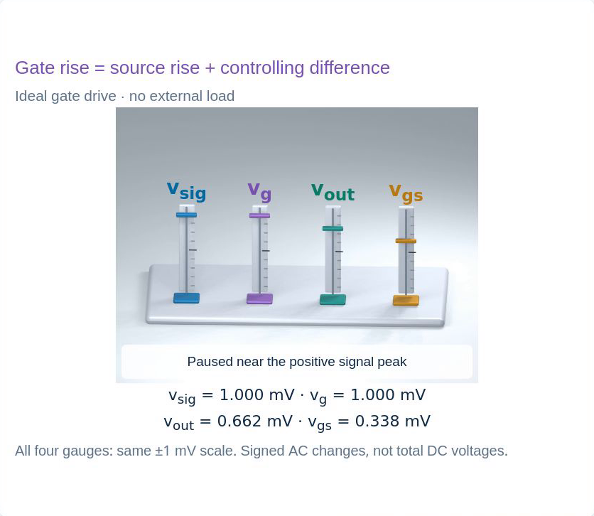 Original source-follower schematic or held 3D experiment panel
