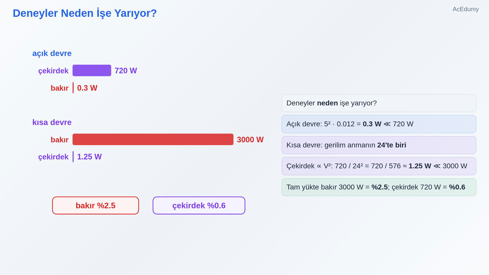 Deneyler Neden İşe Yarıyor?