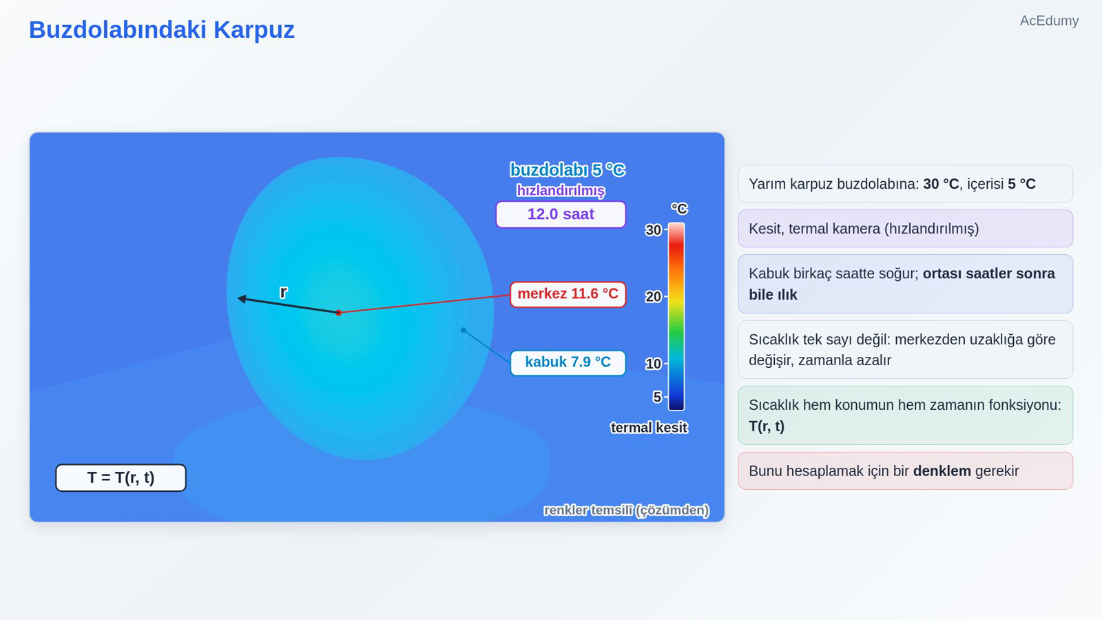 Buzdolabındaki Karpuz
