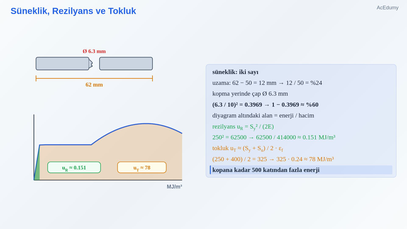 Süneklik, Rezilyans ve Tokluk