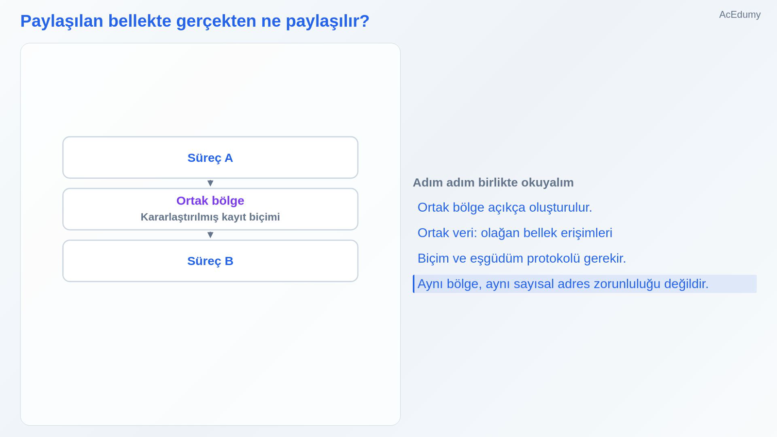 Paylaşılan bellekte gerçekten ne paylaşılır?