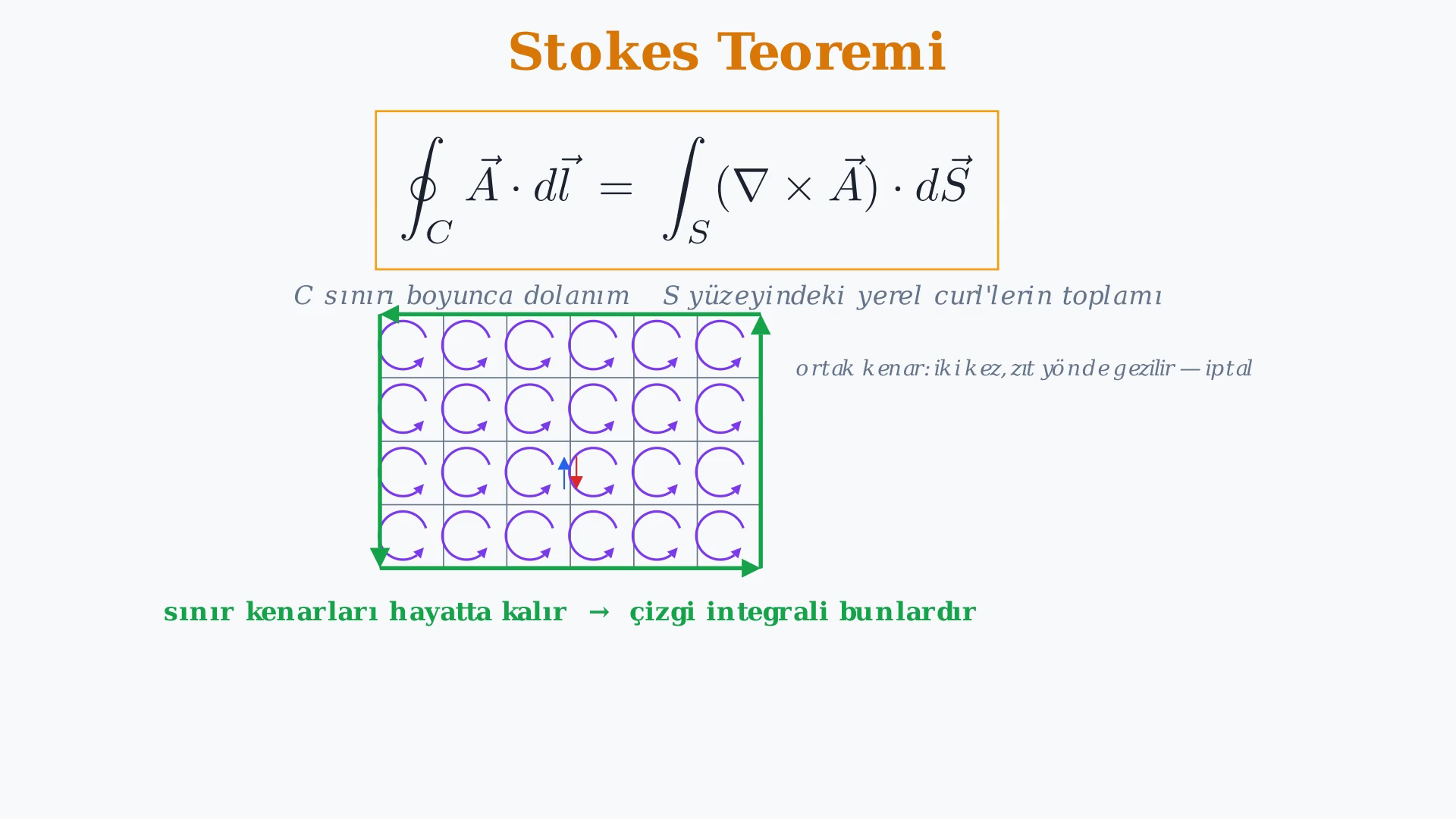 Stokes teoremi, birim kare dolanımı ve tekil girdap alanından Ampère yasasına geçişi gösteren ders karesi.